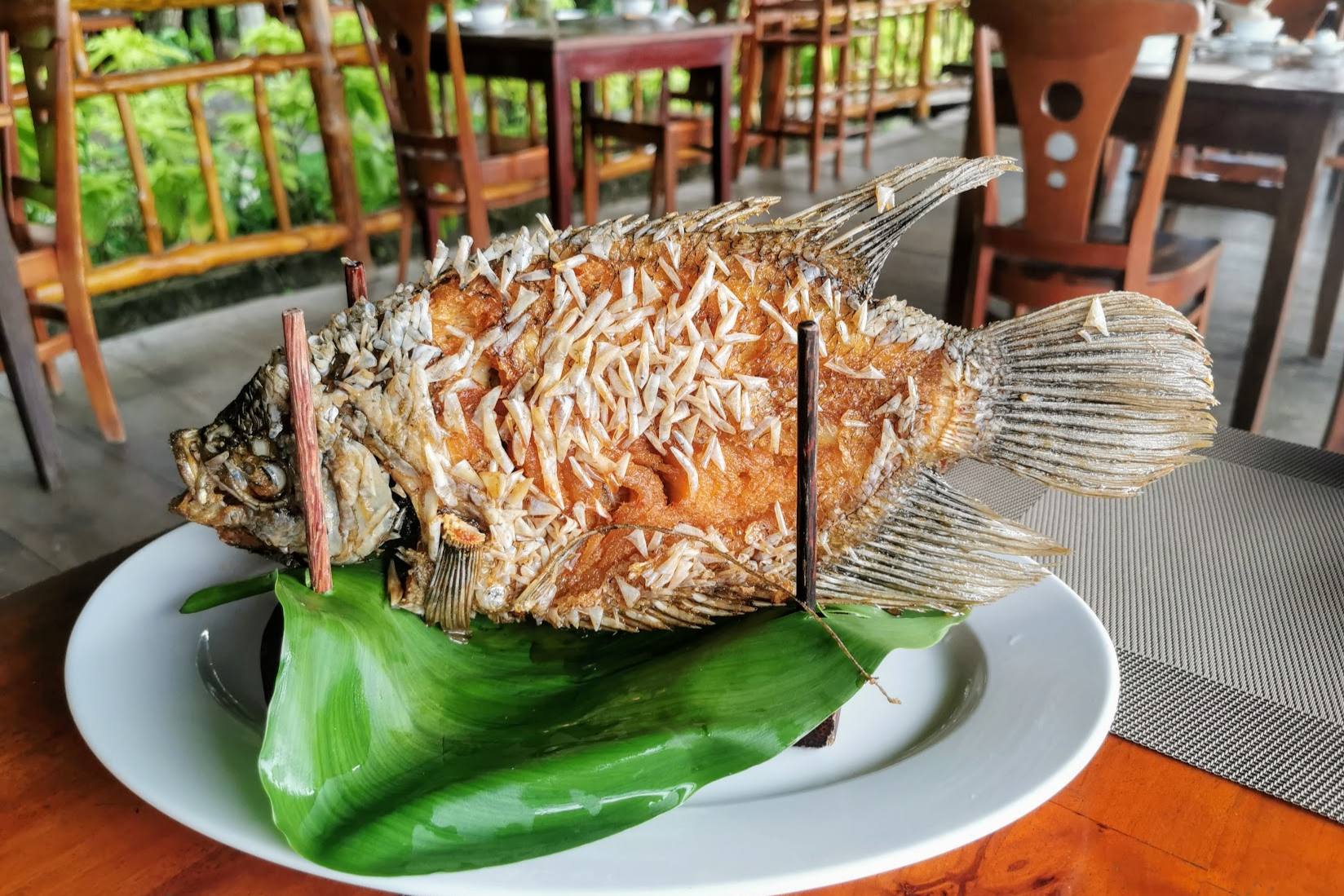 vietnamese-crispy-elephant-ear-fish-ca-tai-tuong-chien-xu-recipe