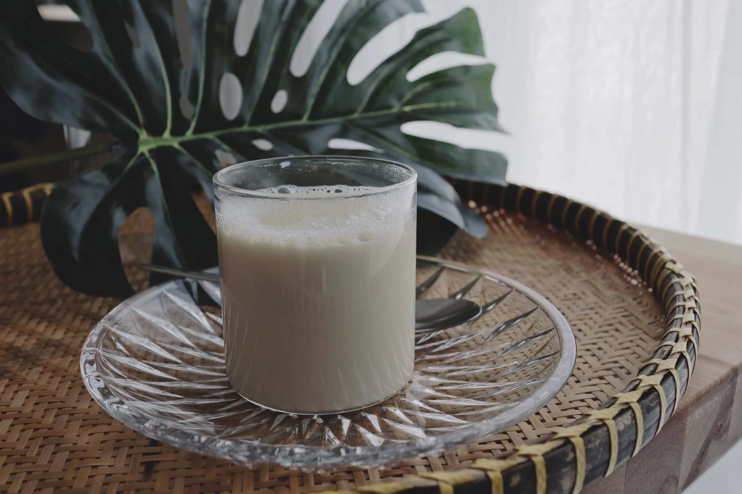 vietnamese-soy-milk-sua-dau-nanh-recipe